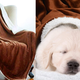 Sable Throw Blanket, 60" x 80 | $12 | Amazon | Clip the coupon and use promo code KINJAC032